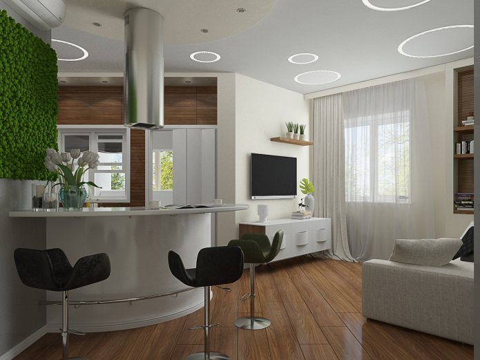 kusina-sala sa proyekto ng interior design ng apartment