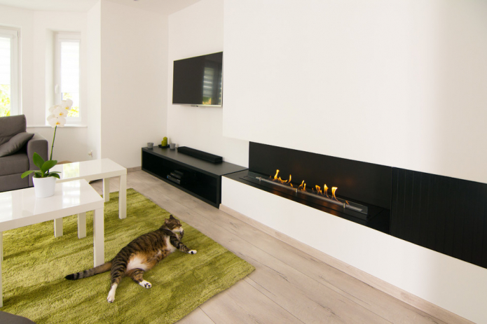 minimalistic living room