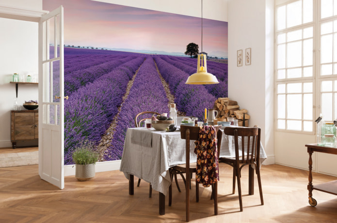 photomurals depicting lavender fields