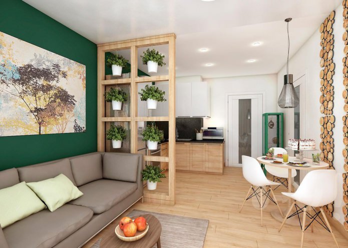 eco-style kitchen-living room interior