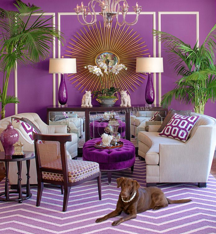 purple in the interior of the living room