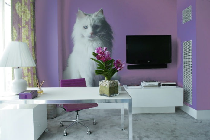 macska a falon az irodában