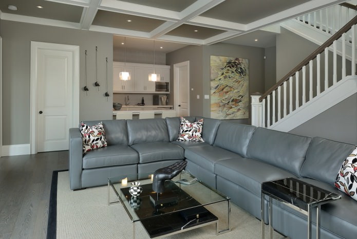 gray living room interior