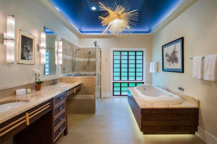 bathroom with blue ceiling