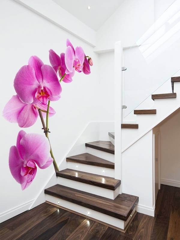 photomurals with orchids