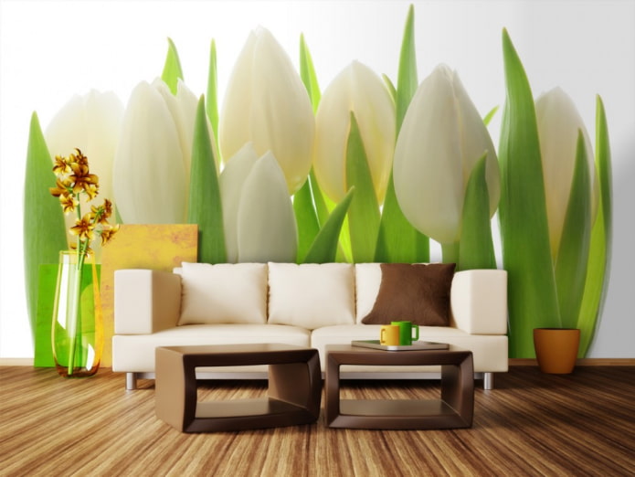 photo wallpaper with tulips