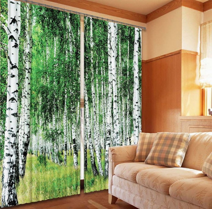 3d curtains with the image of a birch grove