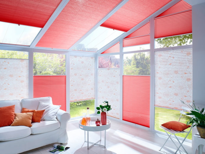 blinds-pleated on the skylights