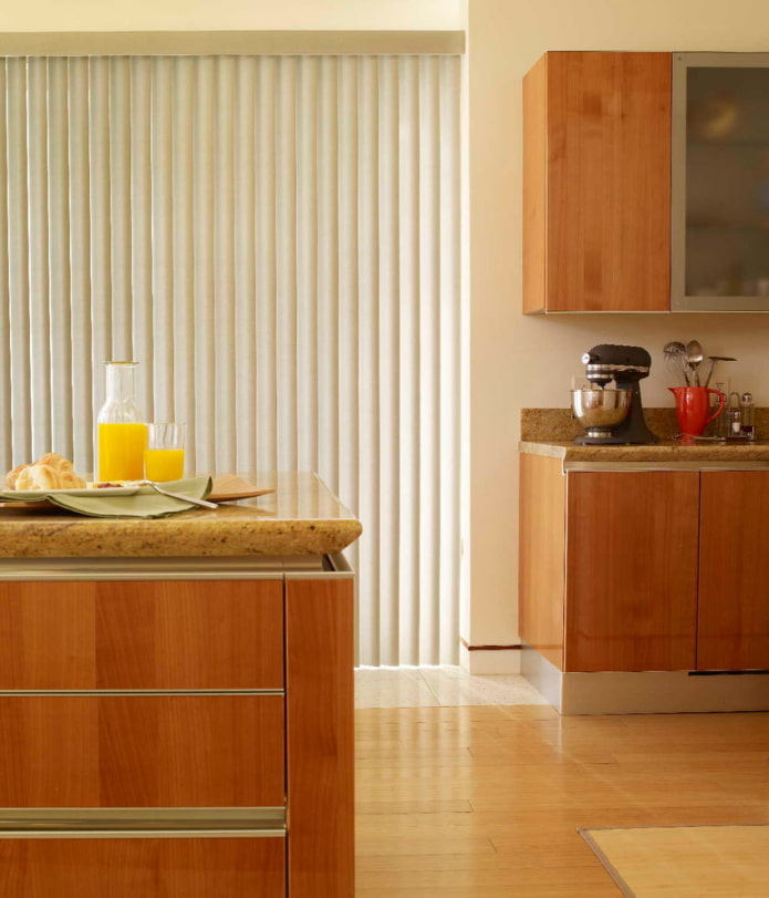vertical blinds in the interior of the kitchen