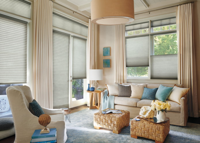 pleated blinds in the interior of the living room