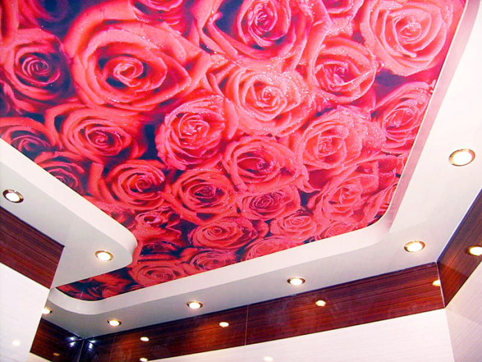 ภาพพิมพ์ดอกกุหลาบสีแดงบนเพดาน