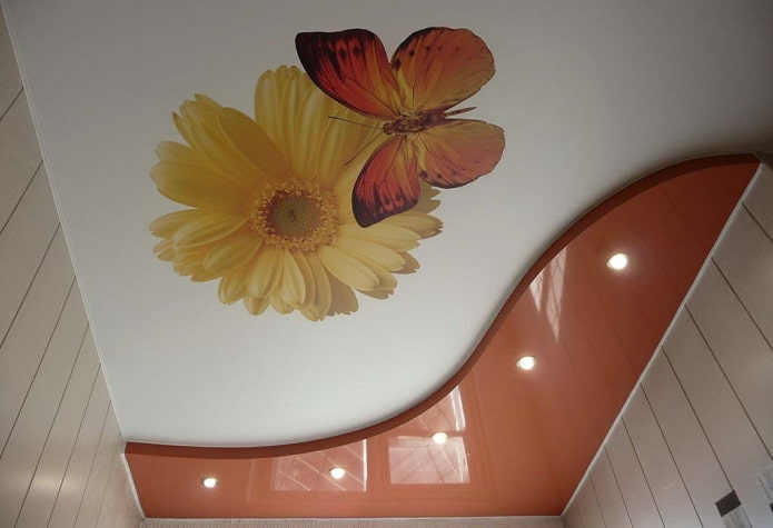 combined ceiling construction with photo printing