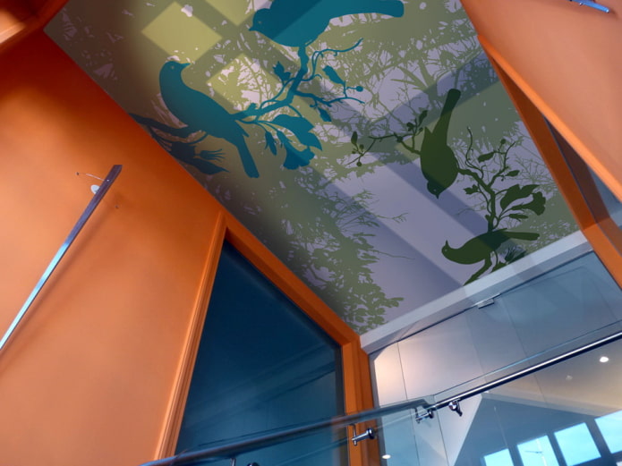 photo printing on the ceiling in a modern style