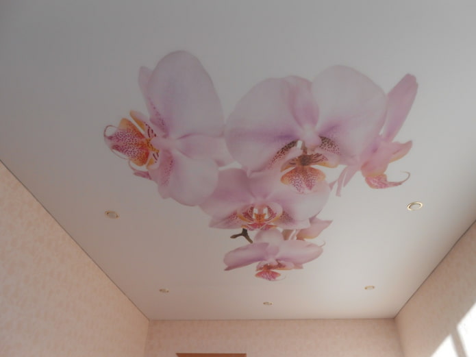 mag-inat ng canvas na may imahe ng isang orchid