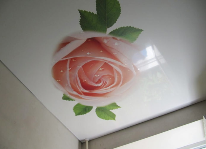 stretch fabric with photo printing in the form of a rose
