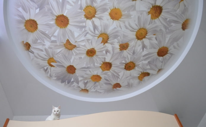 stretch canvas with photo printing in the form of daisies