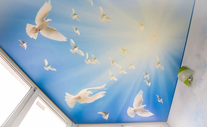 stretch canvas with the image of birds