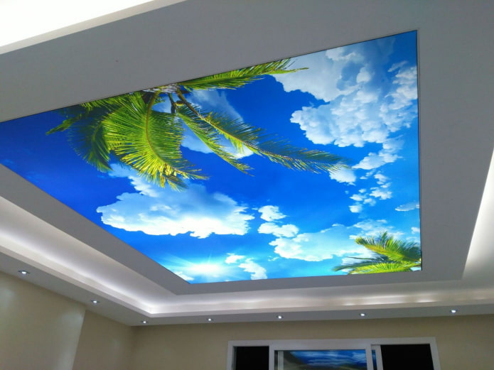 stretch fabric with photo printing in the form of sky