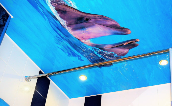 Decke mit einem Bild von Delfinen im Badezimmer