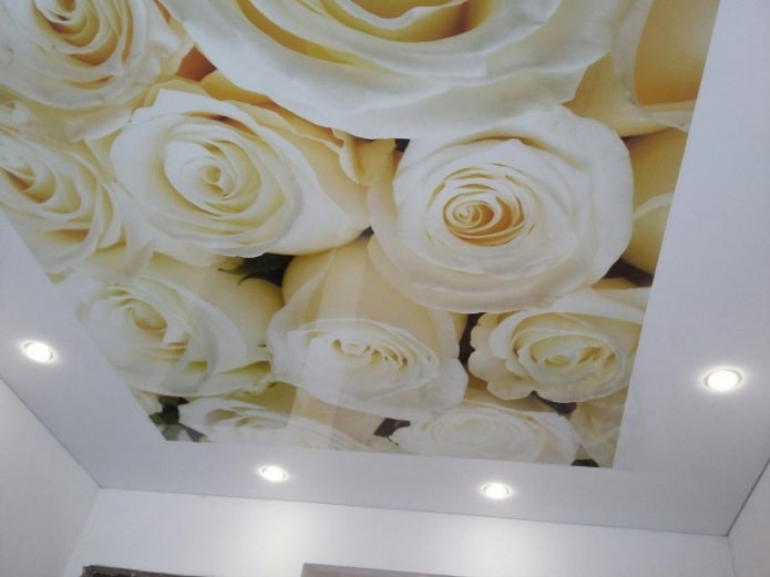 Stretchstoff mit Fotodruck in Form einer Rose