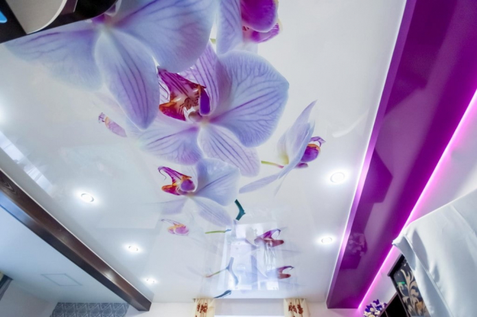 photo printing of lilac flowers on the ceiling
