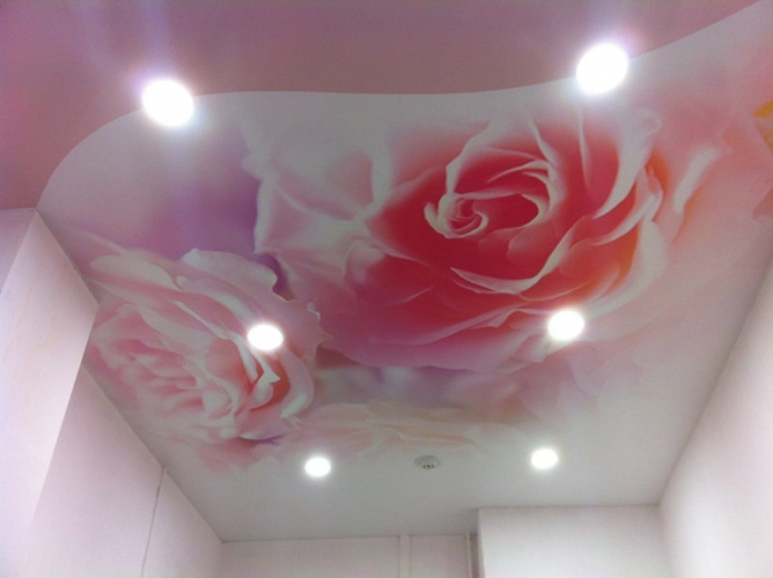 pink ceiling design with photo print