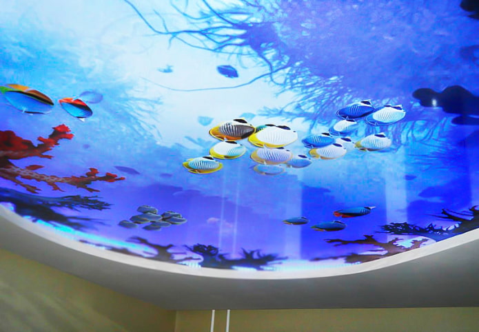 ceiling with 3D photo printing imitating an aquarium