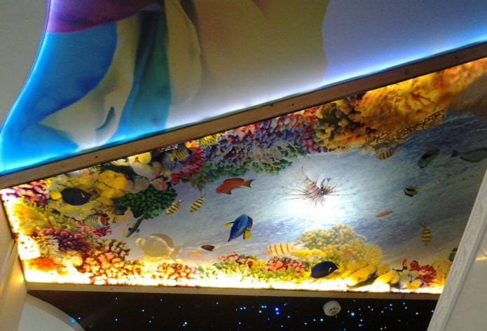 kisame na may 3D photo printing na ginagaya ang isang aquarium