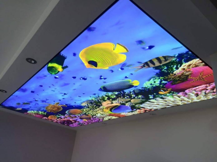 ceiling with 3D photo printing imitating an aquarium