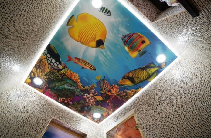 Aquarium on the ceiling