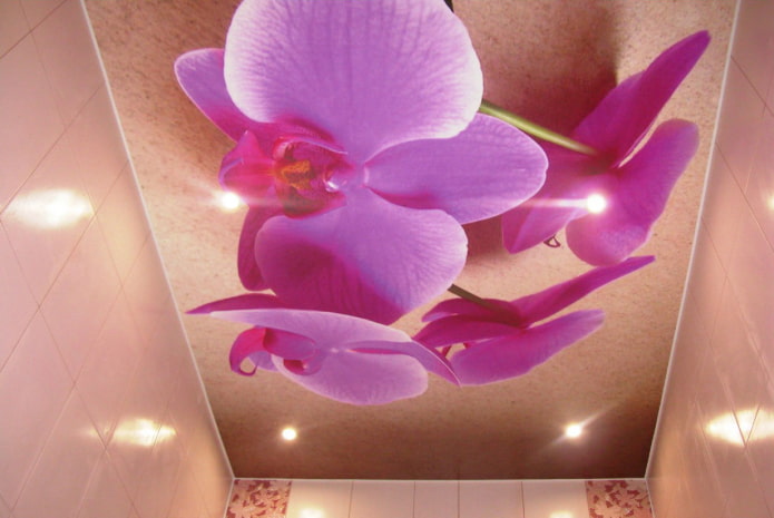 ceiling with orchids