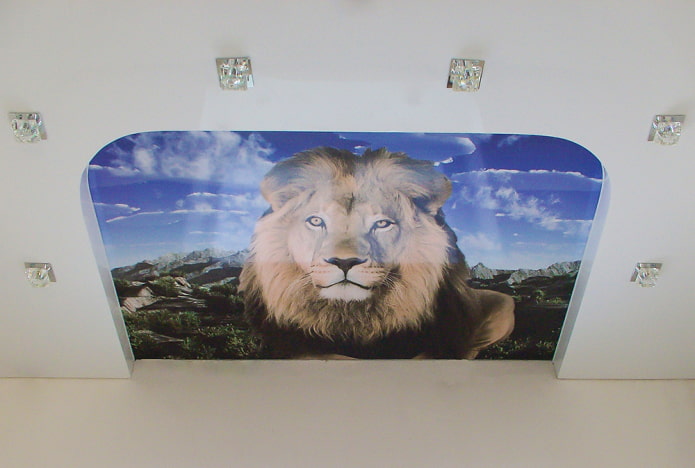 ceiling with a picture of a lion