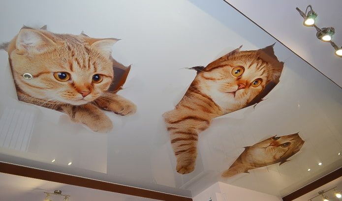 ceiling with a picture of kittens