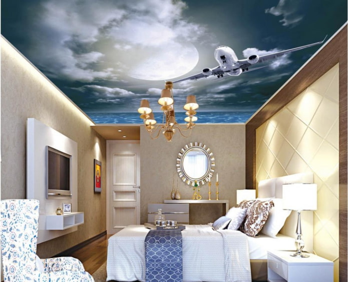 ceiling with a picture of the sky and an airplane in the bedroom