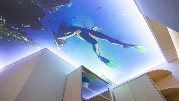3d ceiling with the image of the sea and a diver