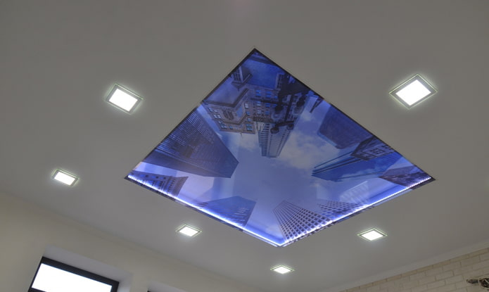 ceiling with city panorama