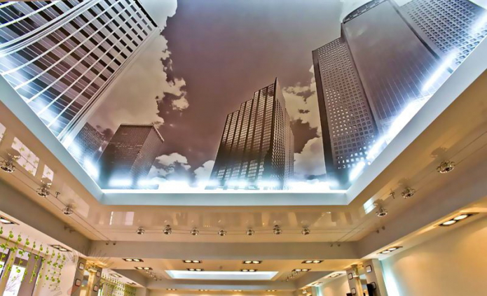 ceiling with city panorama