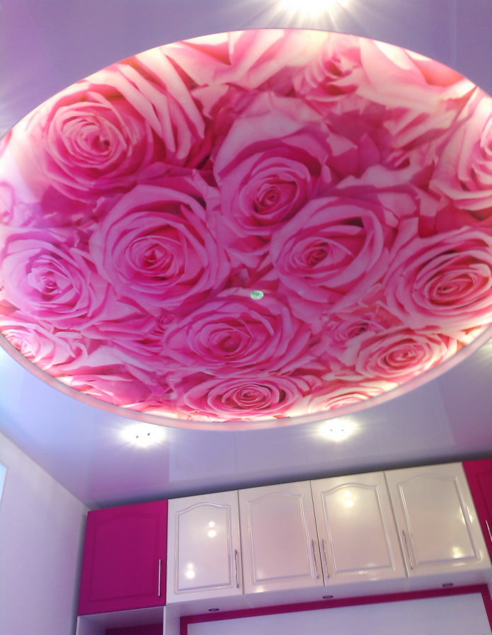 photo printing on the ceiling of a rose