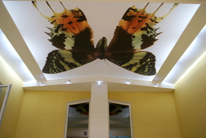 butterfly ceiling