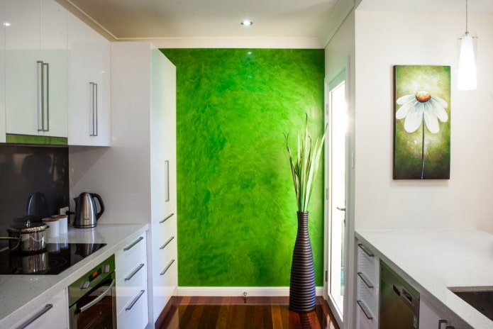 grüner Putz im Inneren der Küche