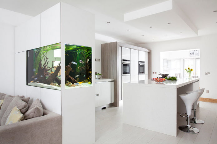 cabinet with an aquarium in the form of a partition in the interior