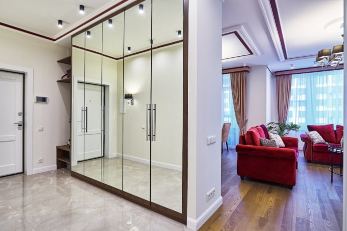 wardrobe in the form of a partition in the interior of the hallway-living room