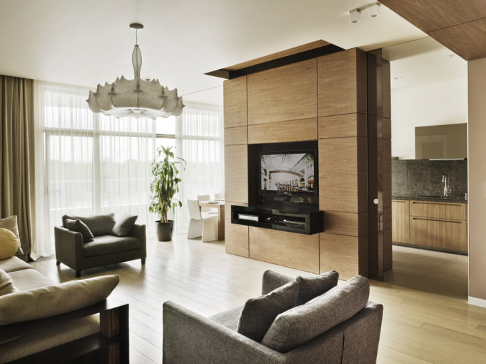 partition with a TV in the interior of the kitchen-living room