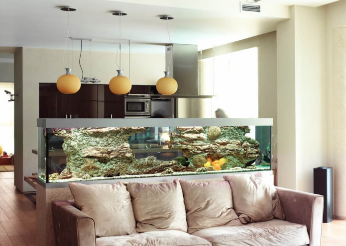 partition with an aquarium in the interior of the kitchen-living room