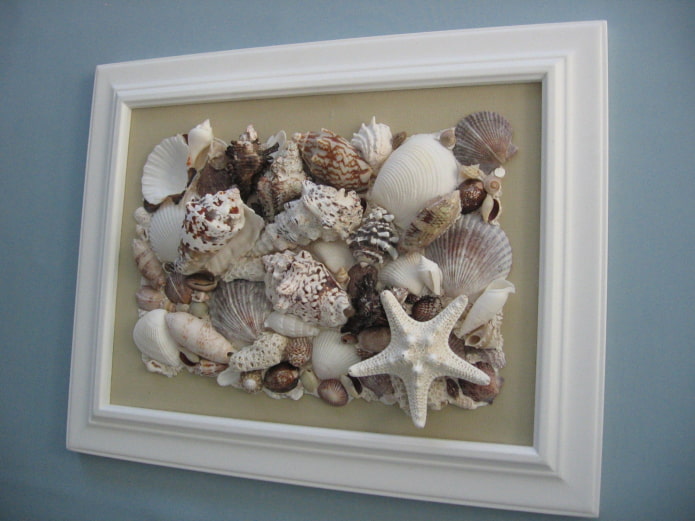 panel of shells on the wall in the interior