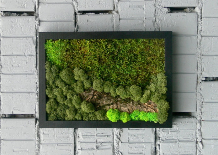 panel of moss on the wall in the interior