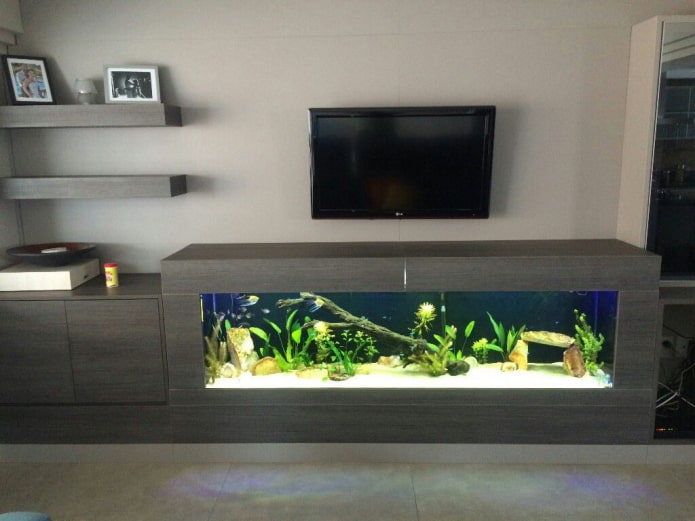 TV on the wall with an aquarium in the living room