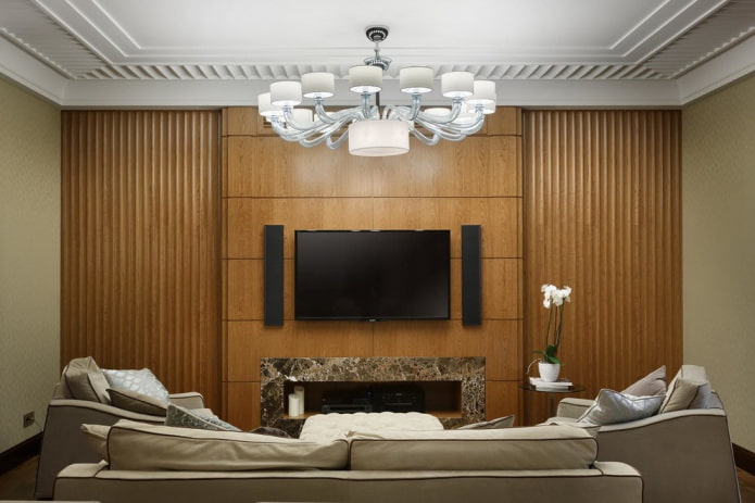 TV area with a wall of wood in the interior