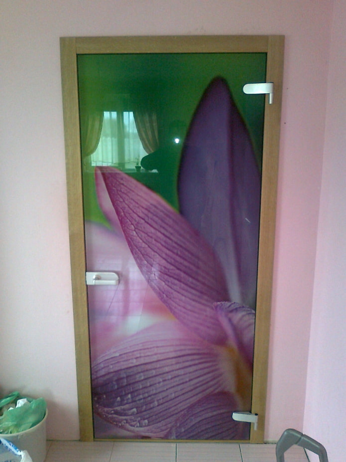 glass doors with photo printing in the interior