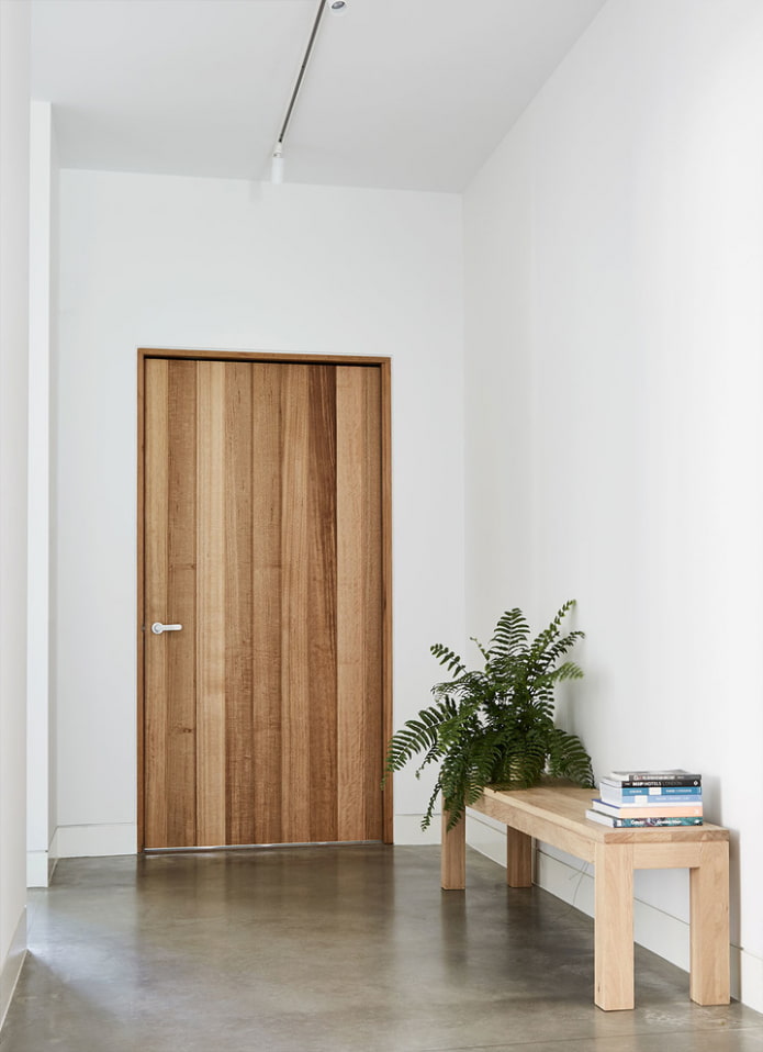entrance door model in the style of minimalism